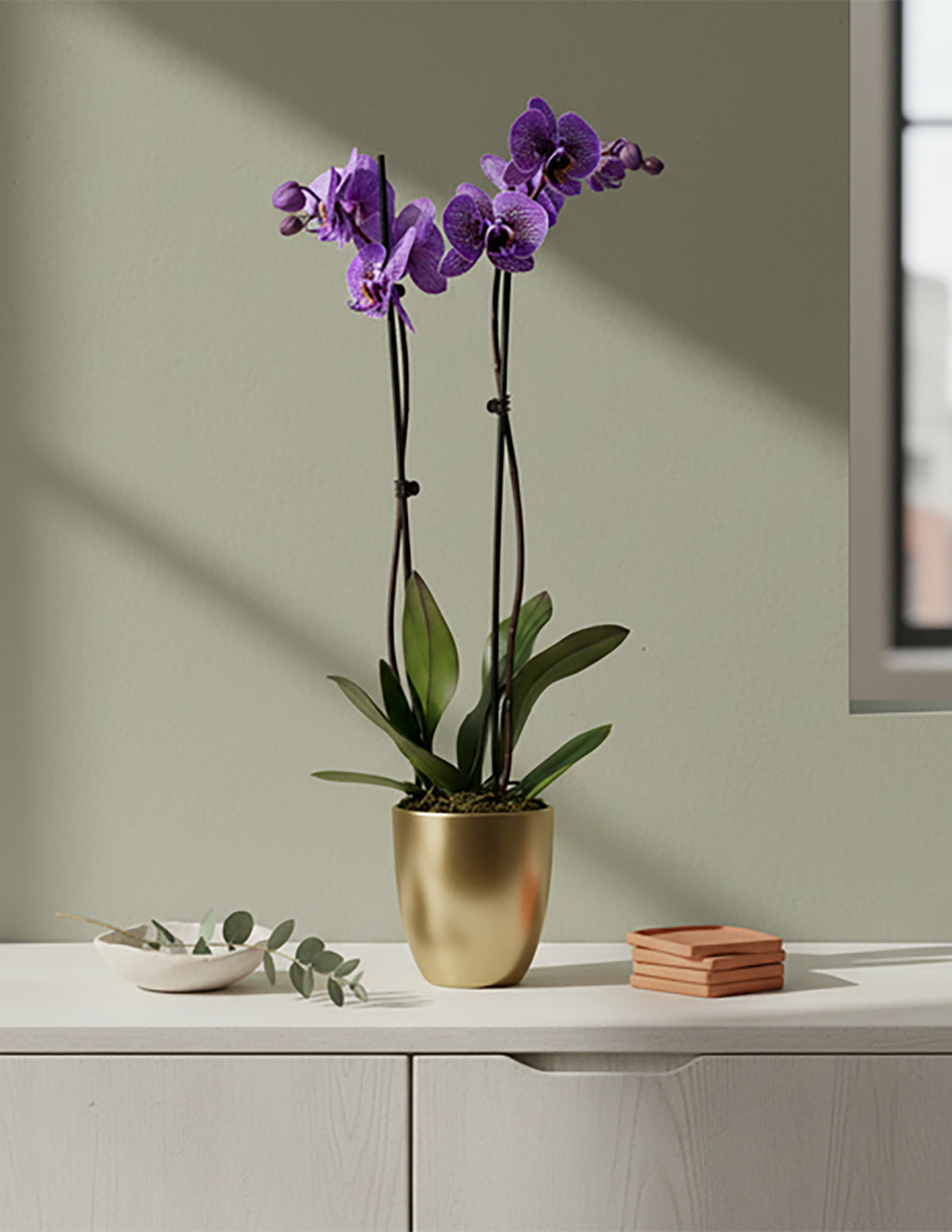 Amethyst Dream Kaleidoscope Orchid