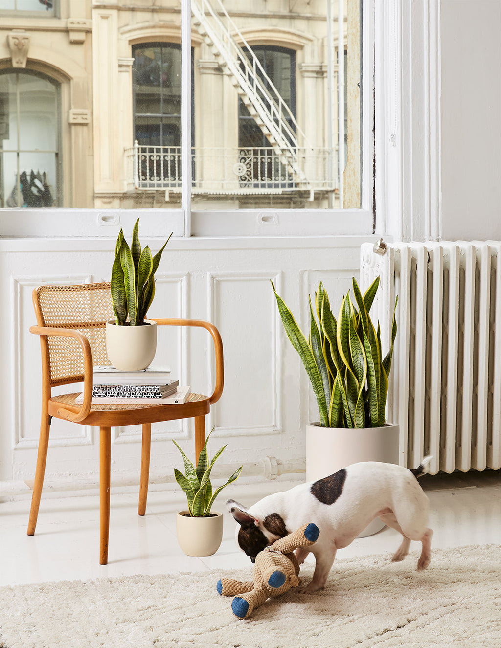 Modern Office Duo